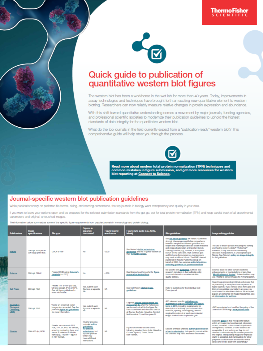 Submission guidelines for top western blotting publications