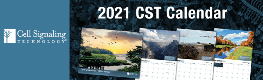 Request Your 2021 Cell Signaling Technology Calendar Earth's Treasures
