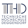 Deggendorf Institute of Technology