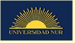 Nur University
