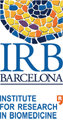 IRB Barcelona International PhD Fellowship Programme 2024