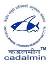 Central Marine Fisheries Research Institute