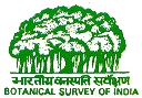 Botanical Survey of India