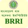 Bangladesh Rice Research Institute