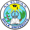 Dilla University