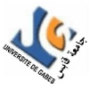 University of Gabès