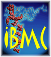 Institut de Biologie Moléculaire et Cellulaire (IBMC)