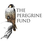The Peregrine Fund
