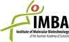 IMBA Institute Of Molecular Biotechnology