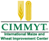 International Maize and Wheat Improvement Center