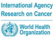 International Agency for Research on Cancer