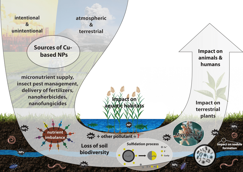 Research  Soil Management Lab