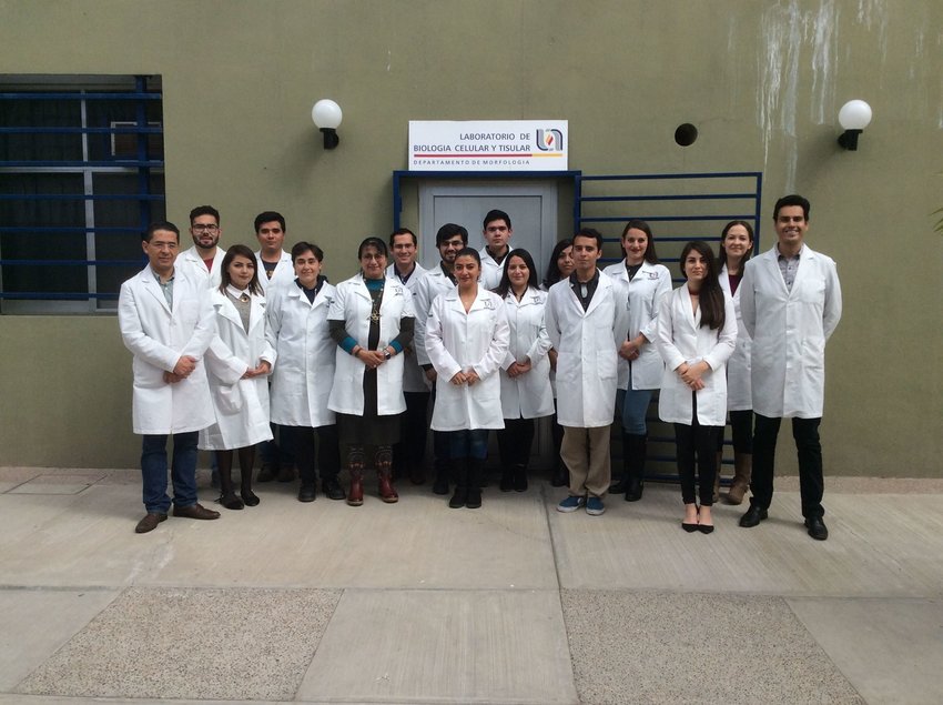 Alma Lilián Guerrero-Barrera's lab | Autonomous University of ...