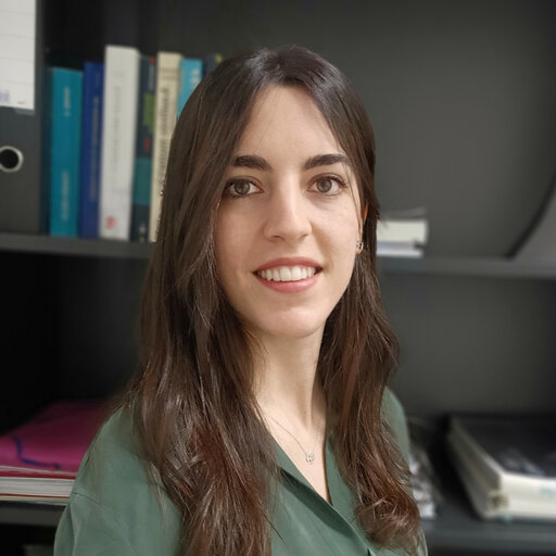 Vanesa MUÑOZ PERALES | Postdoctoral researcher | Ph.D. Electrochemistry ...
