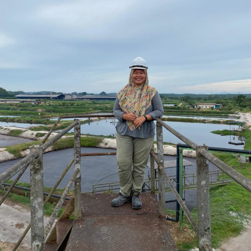 Nur Hidayah Md Said Engineer Doctor Of Philosophy Effluent