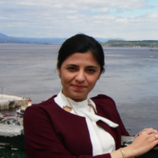 Elnaz ALIYARI | PhD Student | Master of Science | The University of ...