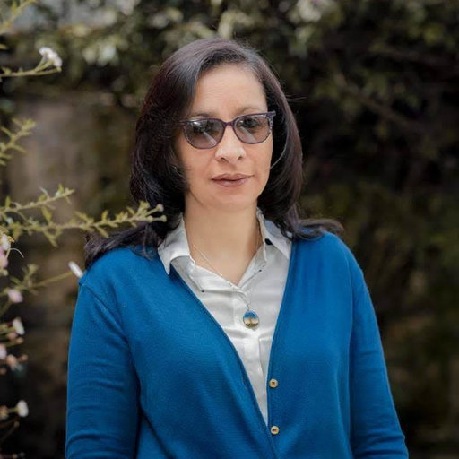 Sonia CARRILLO | Associate Professor | Doctor of Philosophy | Los Andes ...