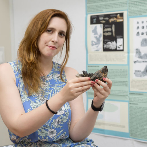 Leire PERALES-GOGENOLA | PhD | PhD | Universidad del País Vasco / Euskal  Herriko Unibertsitatea, Leioa | UPV/EHU | Geology