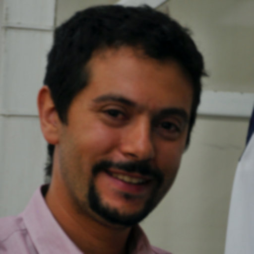 Luis VALENZUELA MORENO, Researcher