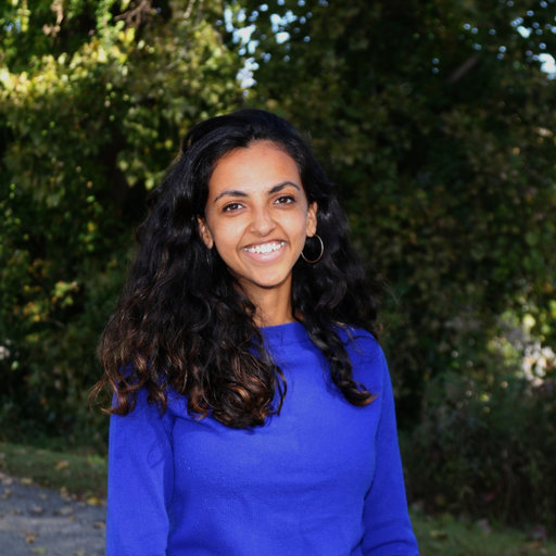 Meera RAMESH | Restoration Engineer | Doctor of Philosophy | Research ...