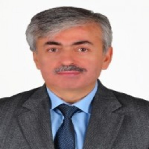İsmail YALÇIN | Doçent Doctor | Selcuk University, Konya | Research profile