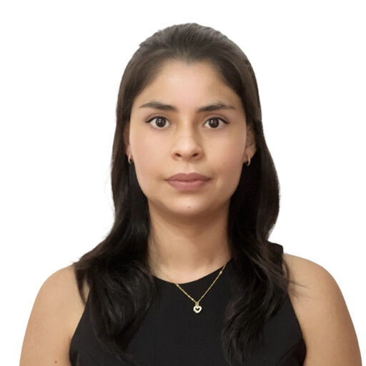 Ivette RAMIREZ | Universidad Peruana de Ciencias Aplicadas (UPC), Lima ...