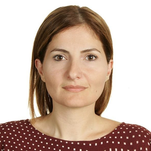 Mariane EL KASSIS | PhD Student | IMT Mines Alès, Alès | EMA ...