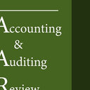 Accounting And Auditing Review
