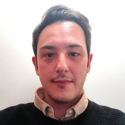 Michele MONTANARI PostDoc Position PhD INFN Istituto