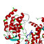 Encapsulation of curcumin in alginate microbeads (AMB) for control release  of curcumin