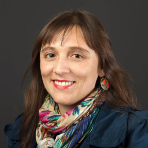 Bárbara OLIVARES | Professor | Universidad Diego Portales, Santiago ...