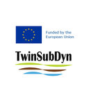 Twin Sub Dyn Project