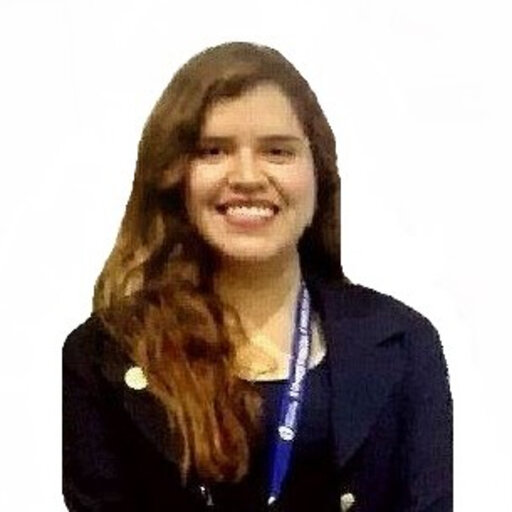 Nicole VILLAGARAY-PACHECO National University of San Marcos, Lima ...