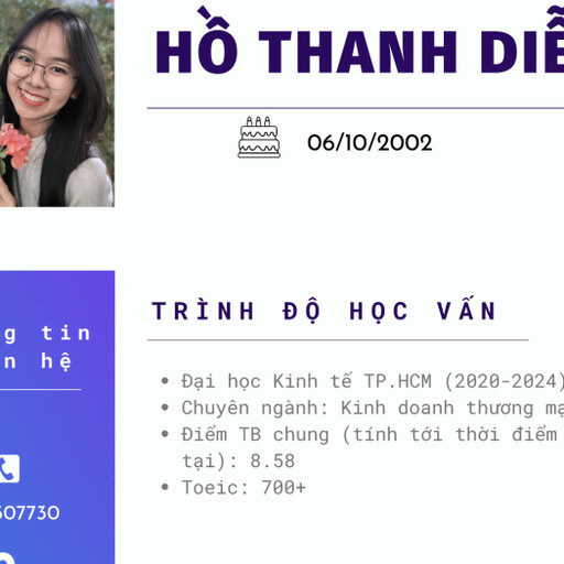 Diem HO | commercial business | Research profile