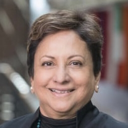 Srilata ZAHEER | Elmer L. Andersen Chair in Global CSR | Doctor of ...