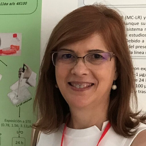 Maria ZANELLA, Professor (Full)
