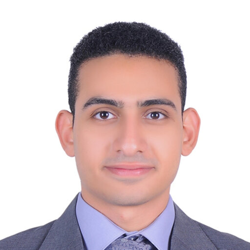 Mahmoud HAMDY | Cairo University, Cairo | CU | Center for Economic ...