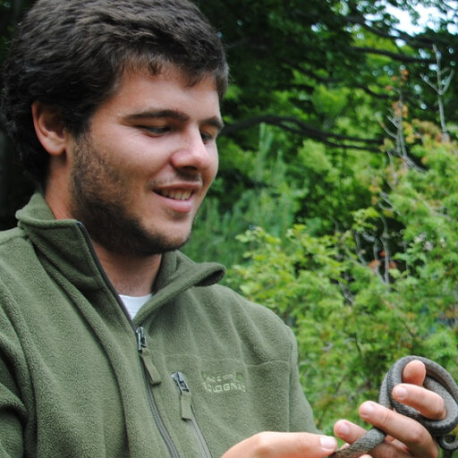 Mattias PEREZ | Self employed ecologist | Master of Science | Research ...