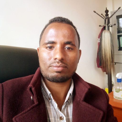 Ayitenew TEMESGEN | Lecturer | Master of Science | Accounting and ...