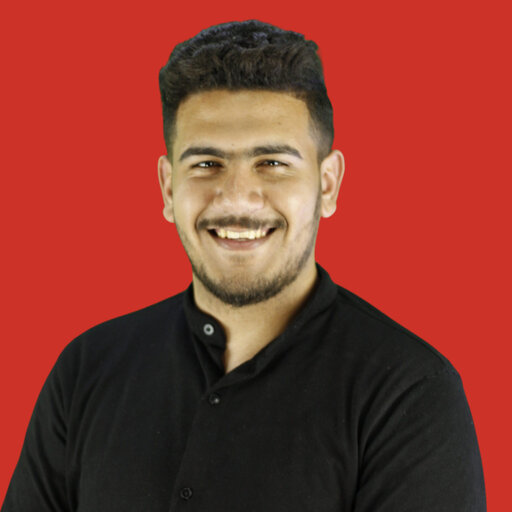 Mohamed ELMANSY | Bachelor of Science | Mansoura University, Al ...