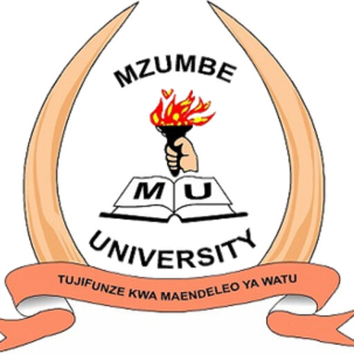 Mzumbe University on X: Mr. Nkinda, Director of Internal Audit