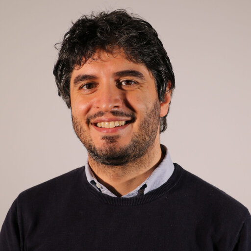 Giandomenico CARUSO Professor Associate PhD Politecnico di