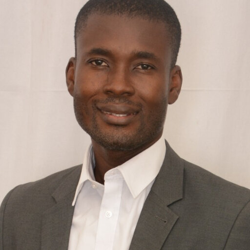 Joseph BUDU | Ghana Institute of Management and Public Administration ...