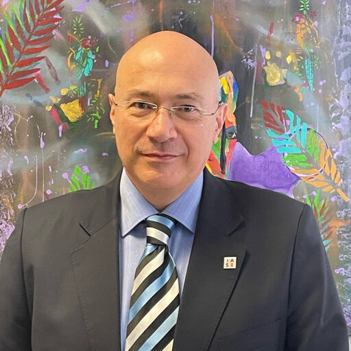 Ahmet Çağkan İNKAYA Professor Associate  Hacettepe University  