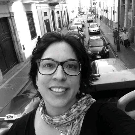 Laura Brito  Selfie, Inspiração