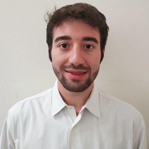 Michele CAMPANINI PhD Student Master of Science Politecnico