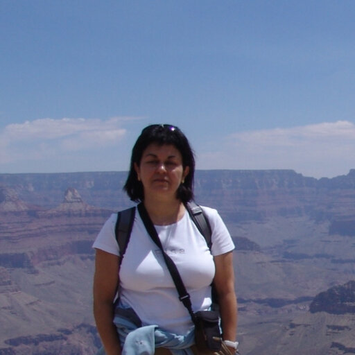 Angela SUÁREZ RODRÍGUEZ | Researcher | MSc Geology | Research profile