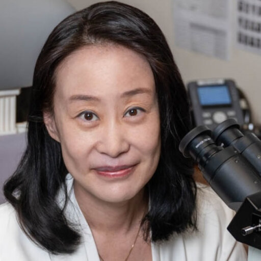 Angela YOON Professor Full Medical University of South