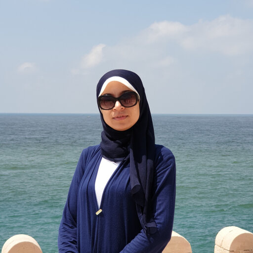 Mona A.AZIM | Lecturer Assistant | Master of Philosophy | Ain Shams ...