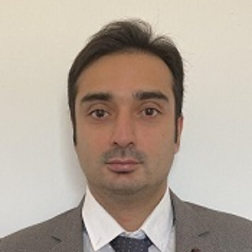 Amir Moazeni - United States, Professional Profile